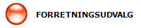 FORRETNINGSUDVALG